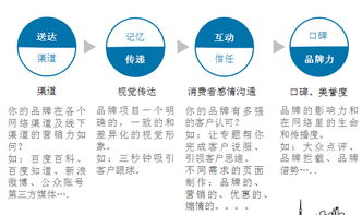 實戰指南 互聯網品牌營銷與銷售深度融合的制勝之道